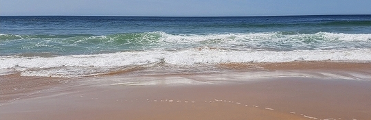 strand branding zee 540x175